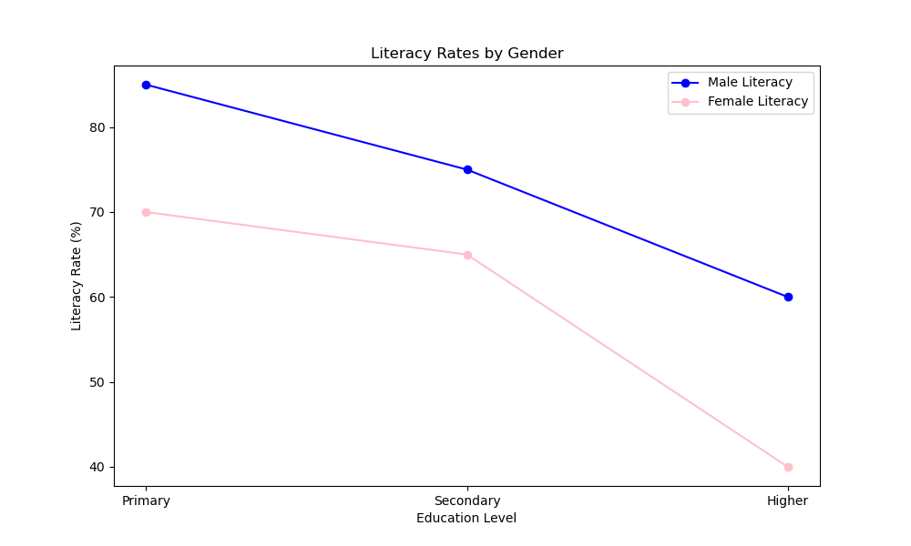 Literacy Rates by Gender